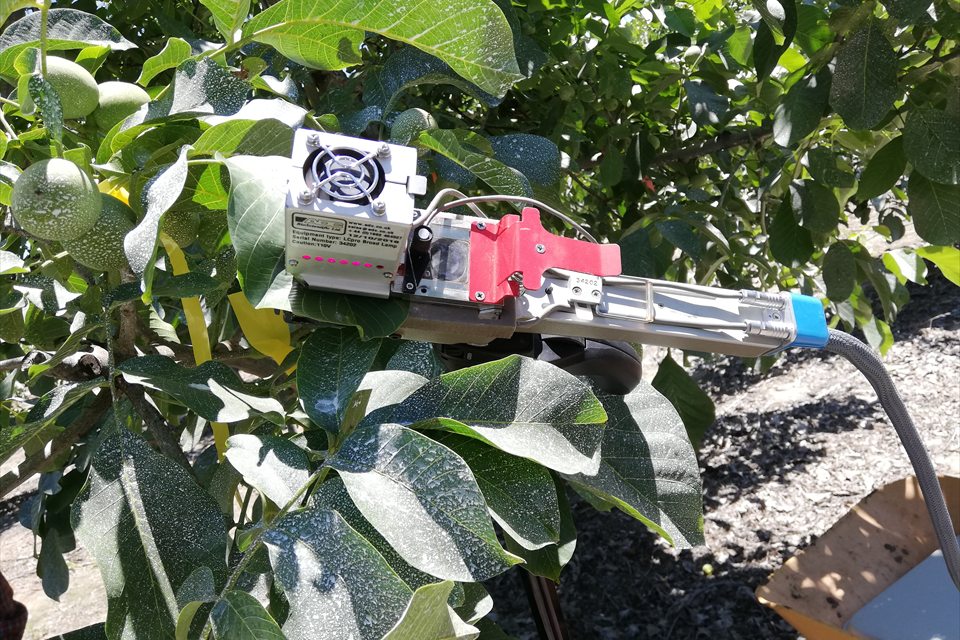 Equipo de medición instalado sobre hojas y frutos en terreno